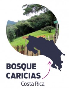 Bosque Caricias