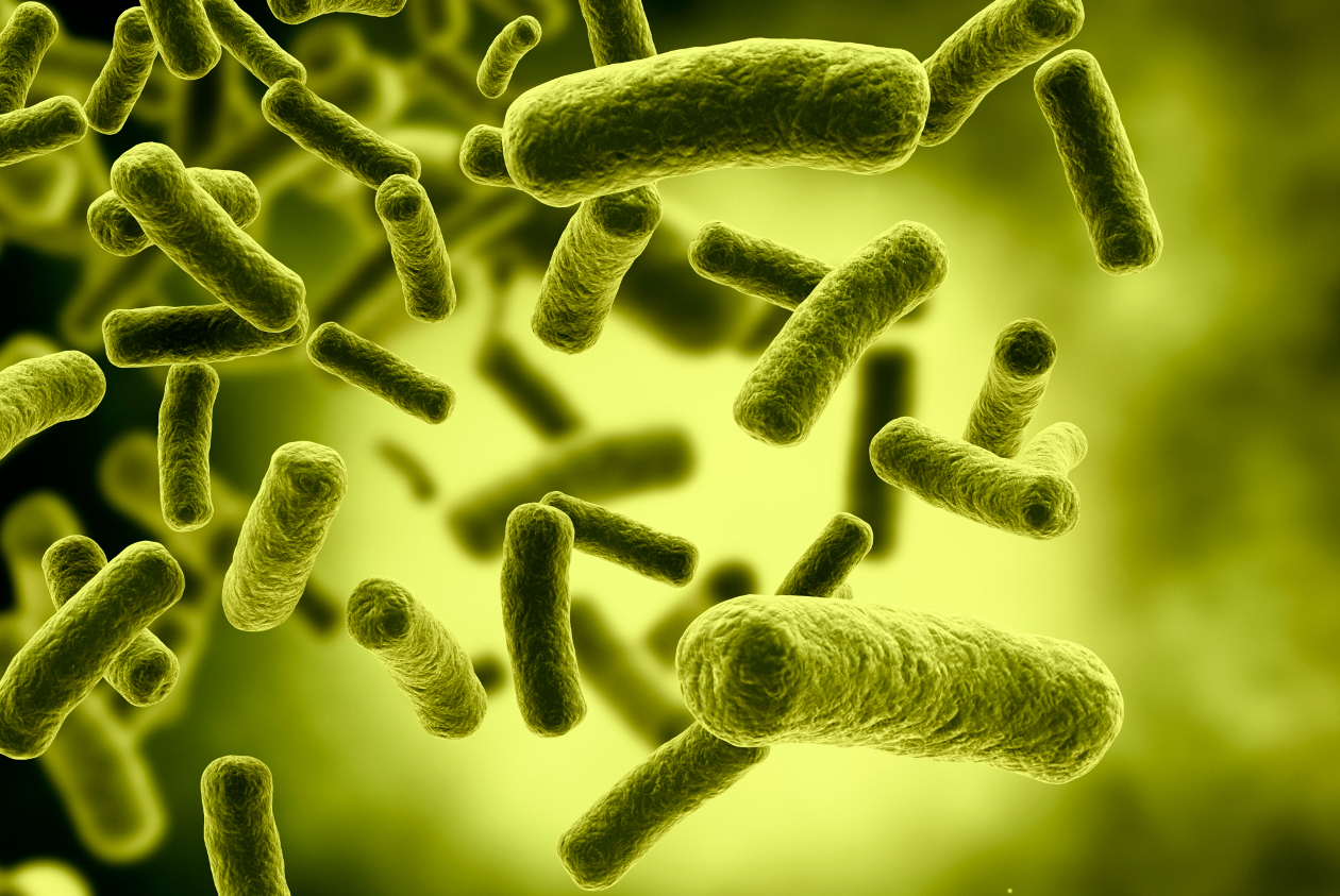 Esta es la cantidad de bacterias que viven dentro de nuestro organismo y así afectan nuestro peso