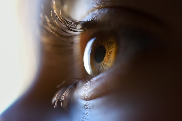 Glaucoma es la segunda causa irreversible de ceguera