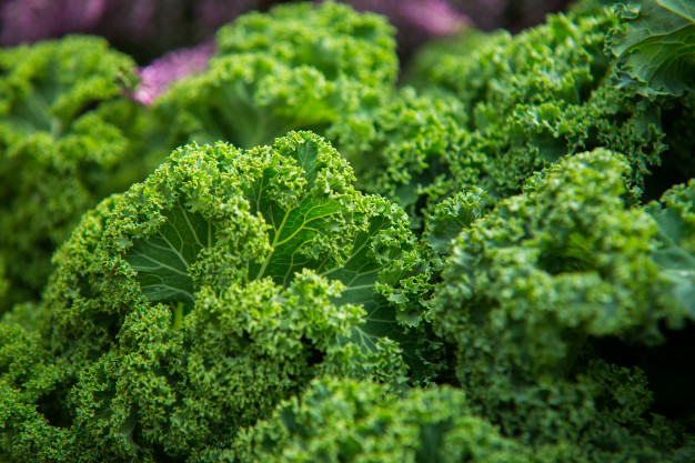 Quinoa, kale, chía… Detrás de los ‘superalimentos’ solo hay ‘marketing’