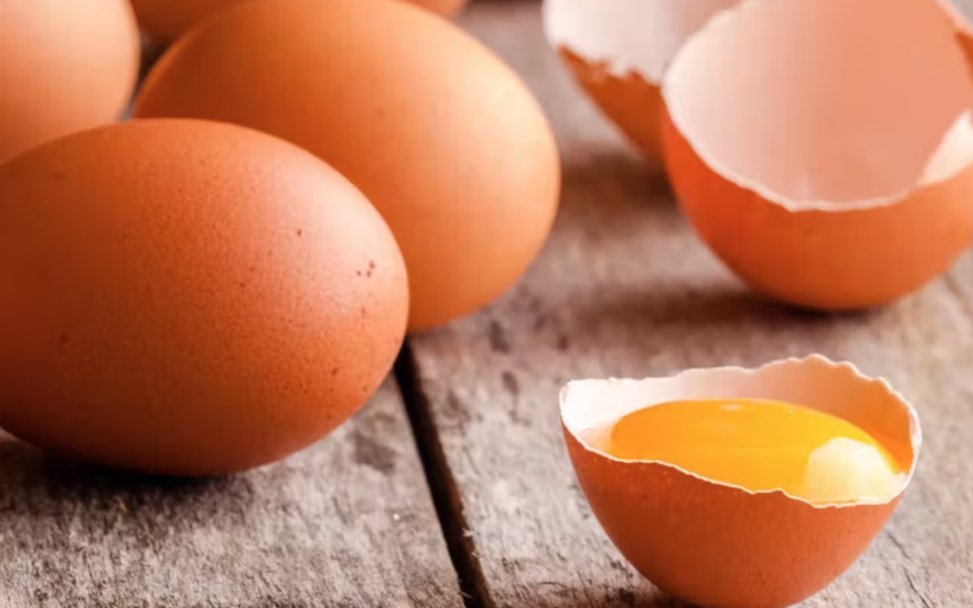 Huevos ¿Bueno o malo para la salud ?