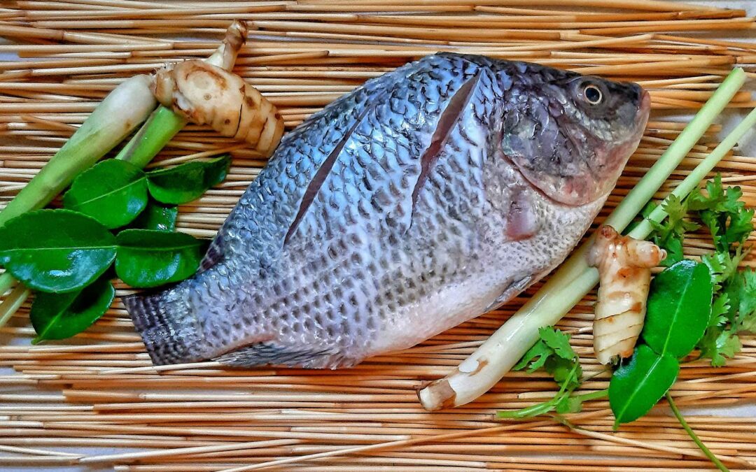 El pescado más popular y con grandes beneficios para la salud