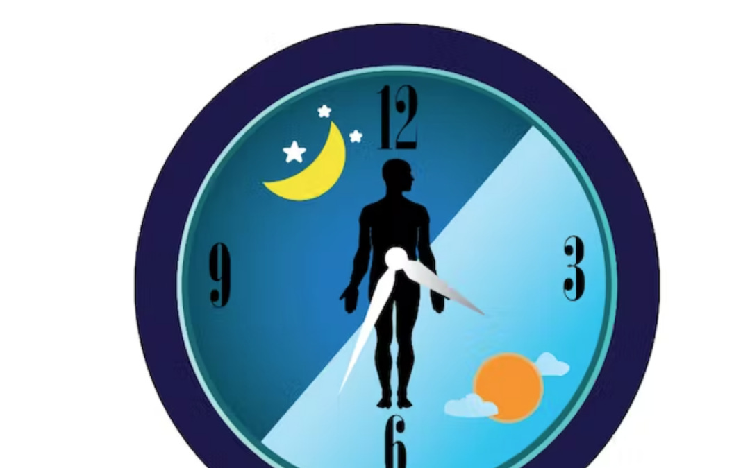 ¿Cómo afecta comer tarde o dormir poco a nuestra salud intestinal?