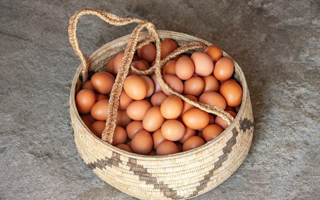 Celebre el Día Mundial del Huevo con estos consejos para una alimentación saludable