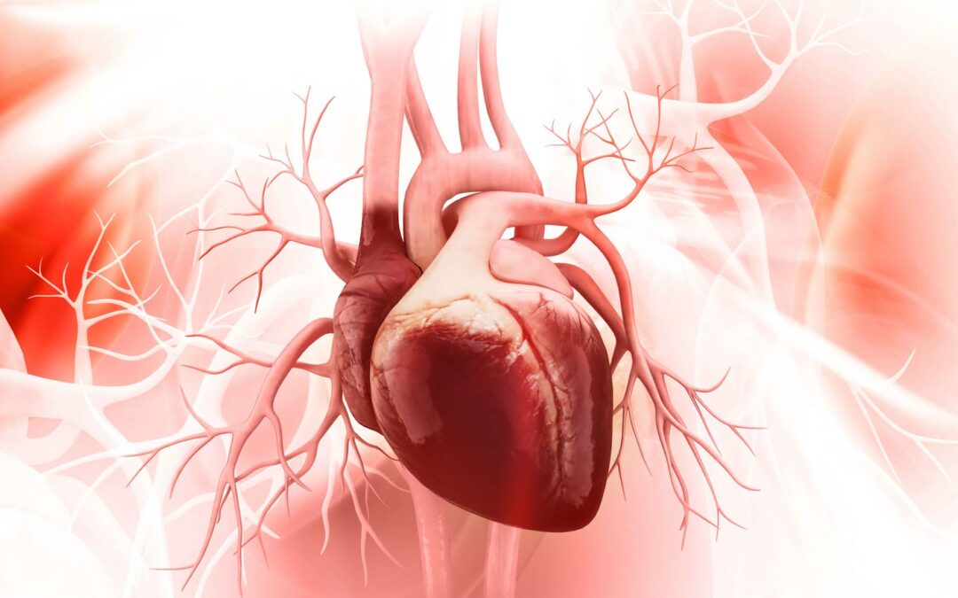 Día Mundial de la Falla Cardiaca: Todo lo que tiene que saber de este padecimiento