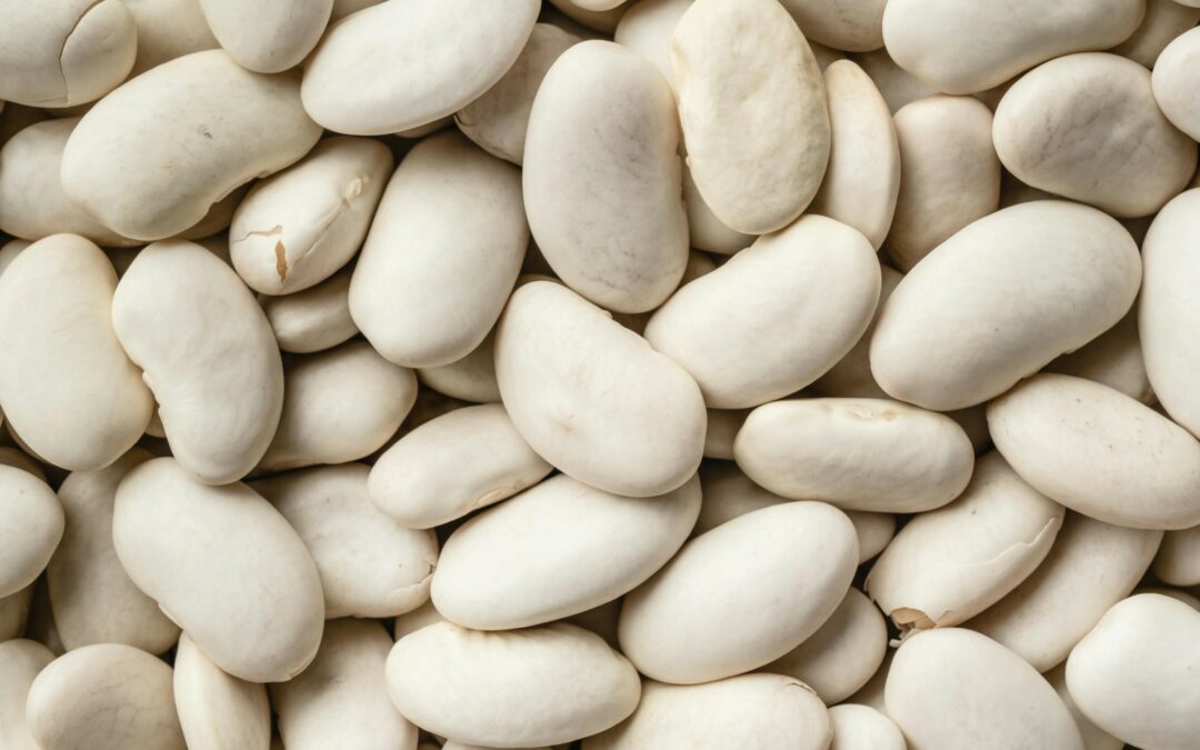 Familias deben involucrar a hijos en la compra y preparación de platillos con legumbres ¿Por qué?