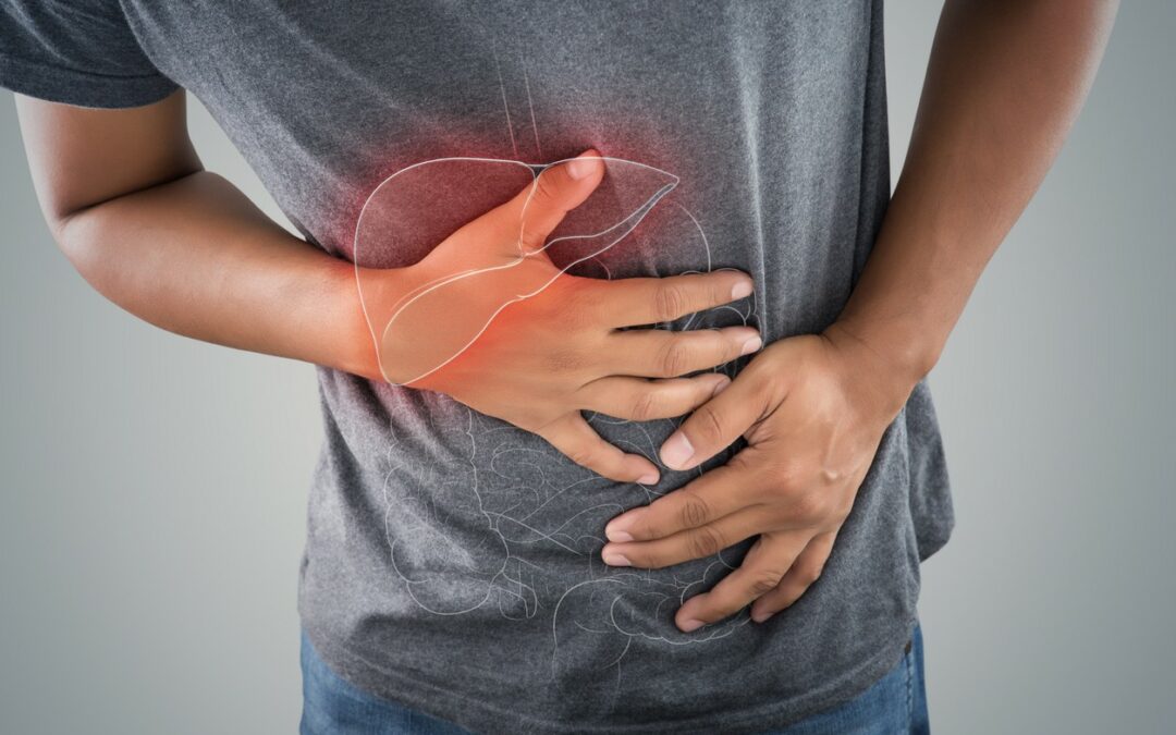 El gran laboratorio del cuerpo: Día Mundial del Hígado invita a cuidar de este órgano silencioso pero vital