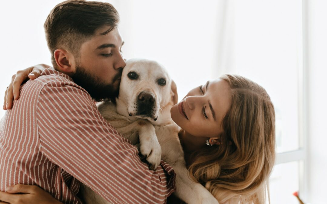 ¿Cómo contribuyen las mascotas para una vida más saludable?