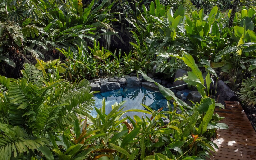 Aguas Termales Naturales se consolidan como una gran opción de salud y bienestar para diversos padecimientos