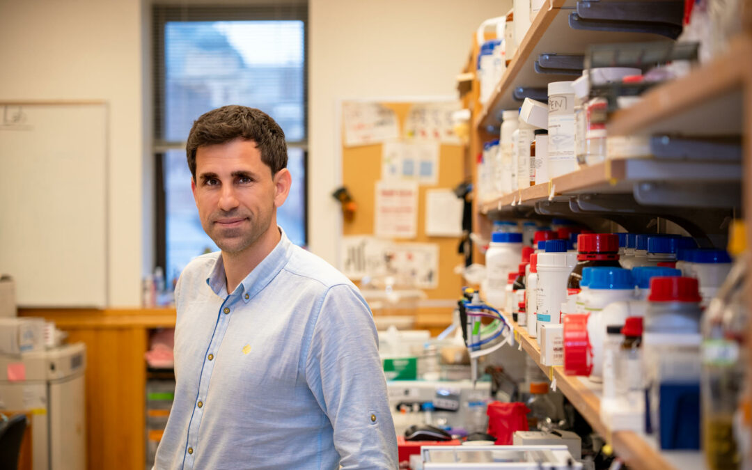 Inteligencia Artificial logra desarrollar antibióticos eficaces contra bacterias resistentes en ratones